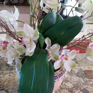 Meet your Posher, Frank